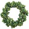 Raz 6.5" Frosted Green Holly and Berries Christmas Pillar Candle Ring